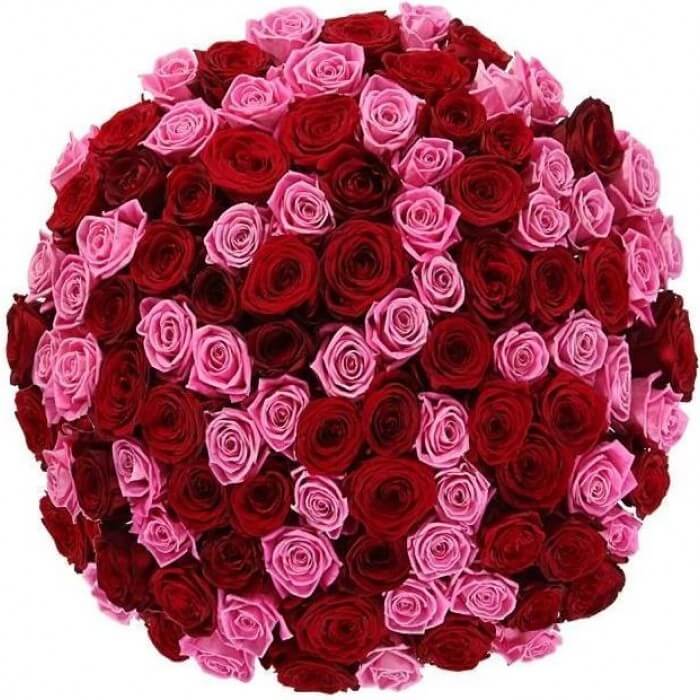 Bouquet of roses express Deflo.cz