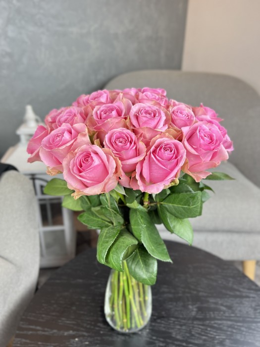 Růžová růže Wham 60cm