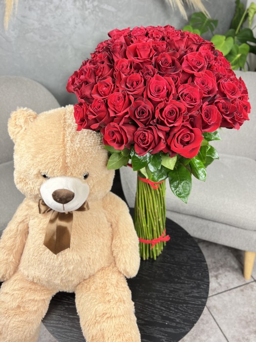 Růže Freedom 50cm + medvěd 100cm